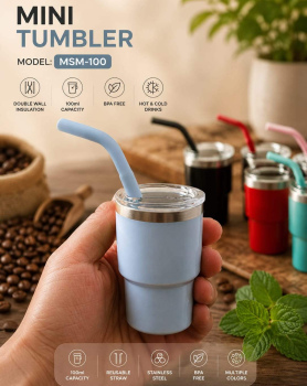 Mini Insulated Stainless Tumblers with SS Straw 