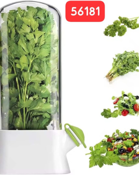 Fresh Herbs Saver